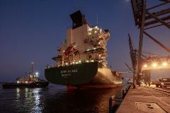 Ship Docking